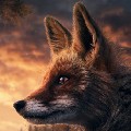 Анимация зарядки после разблокировки что это. adff5e2b78. Анимация зарядки после разблокировки что это фото. Анимация зарядки после разблокировки что это-adff5e2b78. картинка Анимация зарядки после разблокировки что это. картинка adff5e2b78