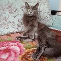 Что такое peel mi remote на xiaomi redmi. Смотреть фото Что такое peel mi remote на xiaomi redmi. Смотреть картинку Что такое peel mi remote на xiaomi redmi. Картинка про Что такое peel mi remote на xiaomi redmi. Фото Что такое peel mi remote на xiaomi redmi