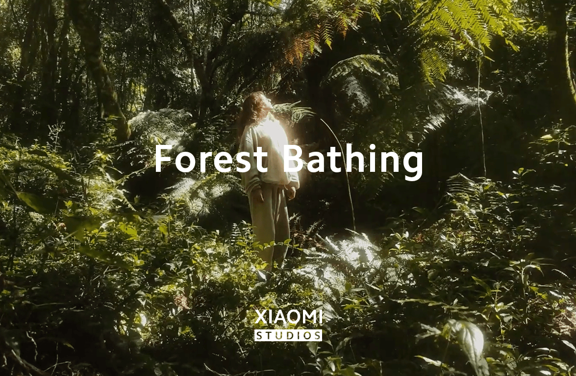 Forest Bathing | Xiaomi Studios