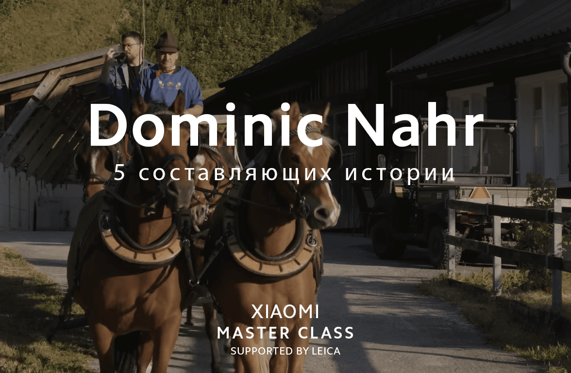 5 составляющих истории 
